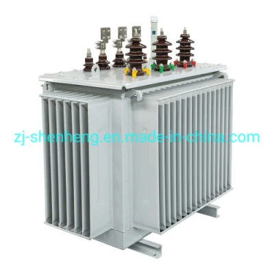 Outdoor High Voltage Oil Immersed Distribution Transformers, 10kv 20kv Oil Power Transformer