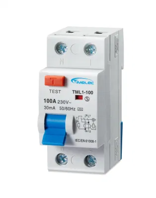  RCD TML1-100 100A 10kA Type Ac 2P Certification Manufacturer Whole sell