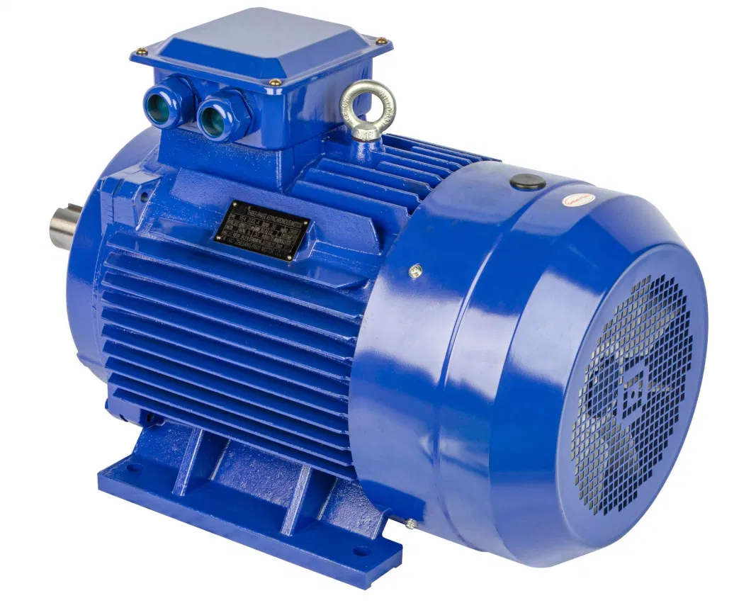 High Speed Electrical Motor Three-Phase Asynchronous Motor with Cast Iron Protection Type