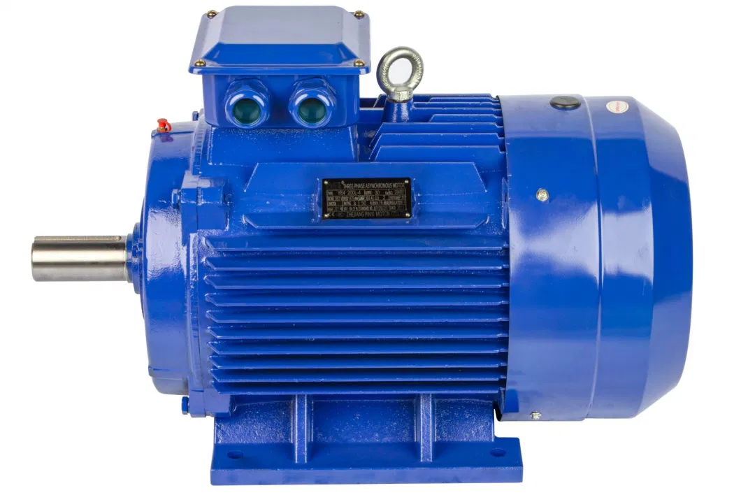 High Speed Electrical Motor Three-Phase Asynchronous Motor with Cast Iron Protection Type