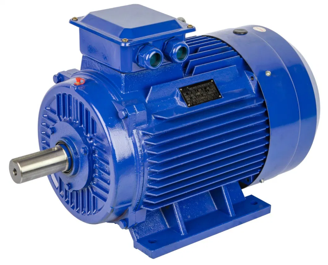 High Speed Electrical Motor Three-Phase Asynchronous Motor with Cast Iron Protection Type