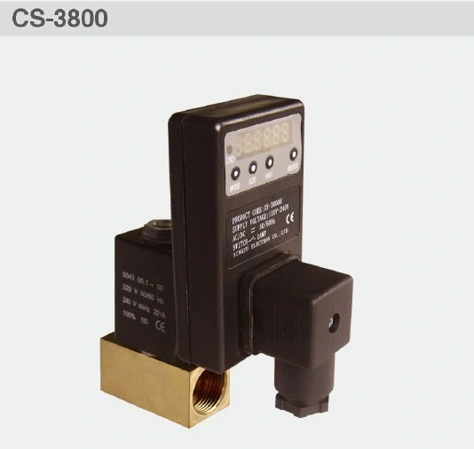 Digital Timer for Solenoid Valve (XY-3800)