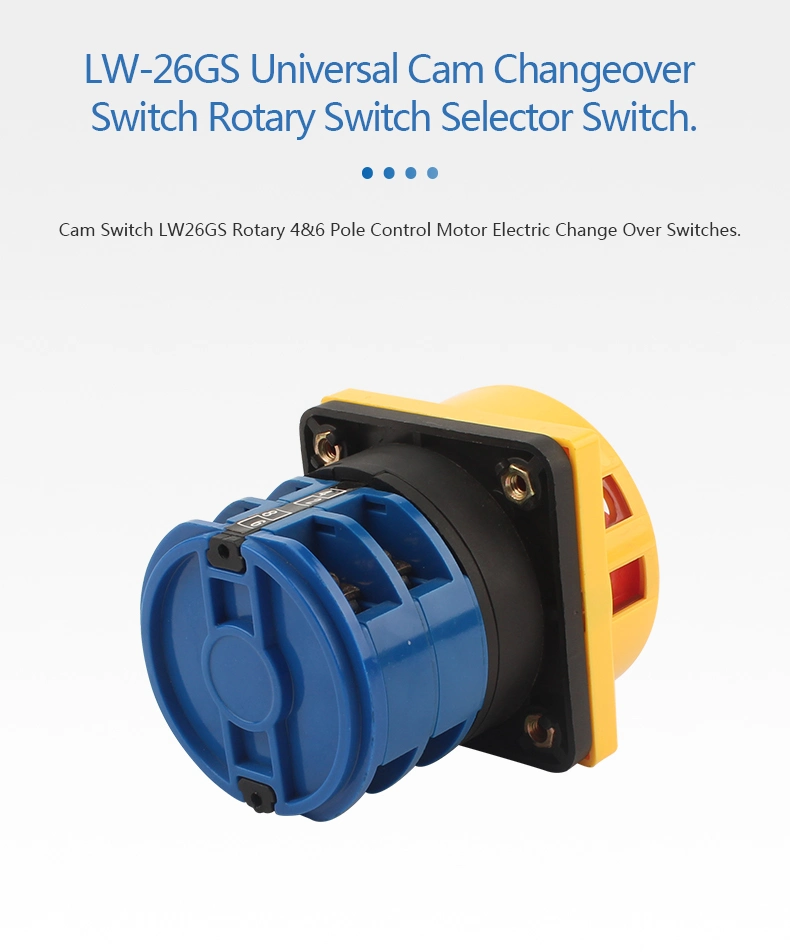 Customized Lw-26GS Series on-off Change Over Rotary Cam Switch