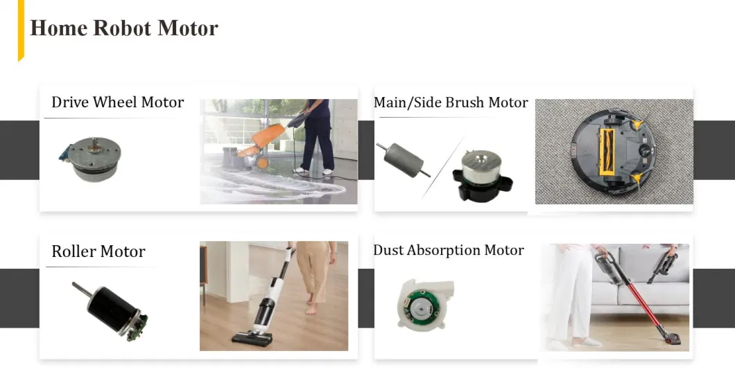 Micro Motor Brushless Motor BLDC Motor Electrical Motor AC Motor Electric Motor DC Motor High Speed Motor High Speed Motor Hair Dryer Motor with Controller