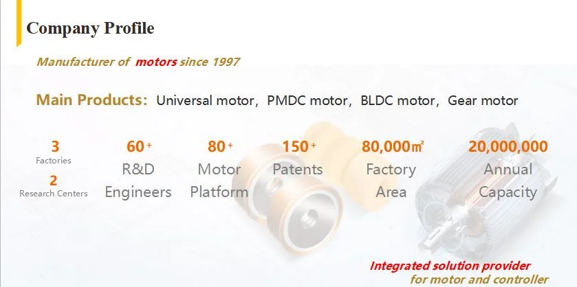 Micro Motor Brushless Motor BLDC Motor Electrical Motor AC Motor Electric Motor DC Motor High Speed Motor High Speed Motor Hair Dryer Motor with Controller
