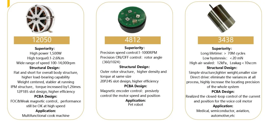 Micro Motor Brushless Motor BLDC Motor Electrical Motor AC Motor Electric Motor DC Motor High Speed Motor High Speed Motor Hair Dryer Motor with Controller