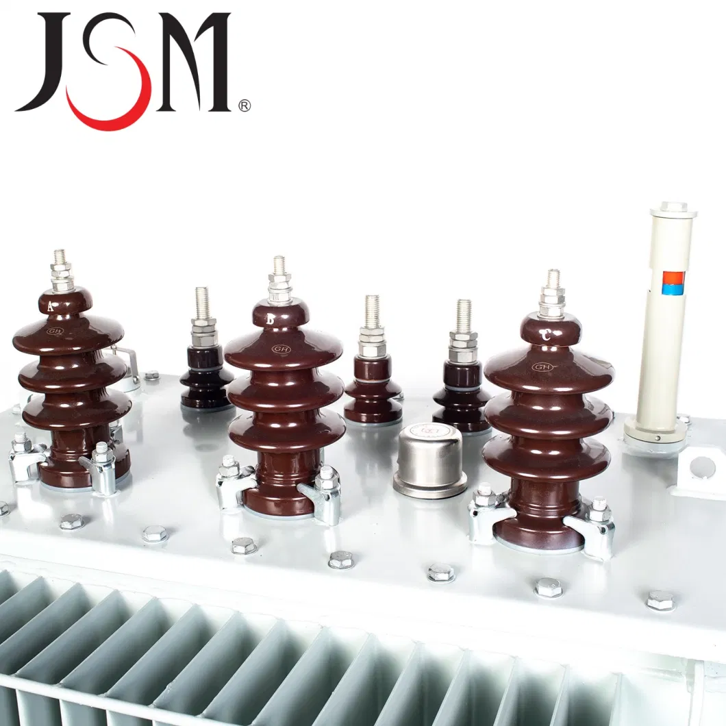 Jsm S9-M Series 11kv Oil Immersed Distribution Transformer Power Transformer