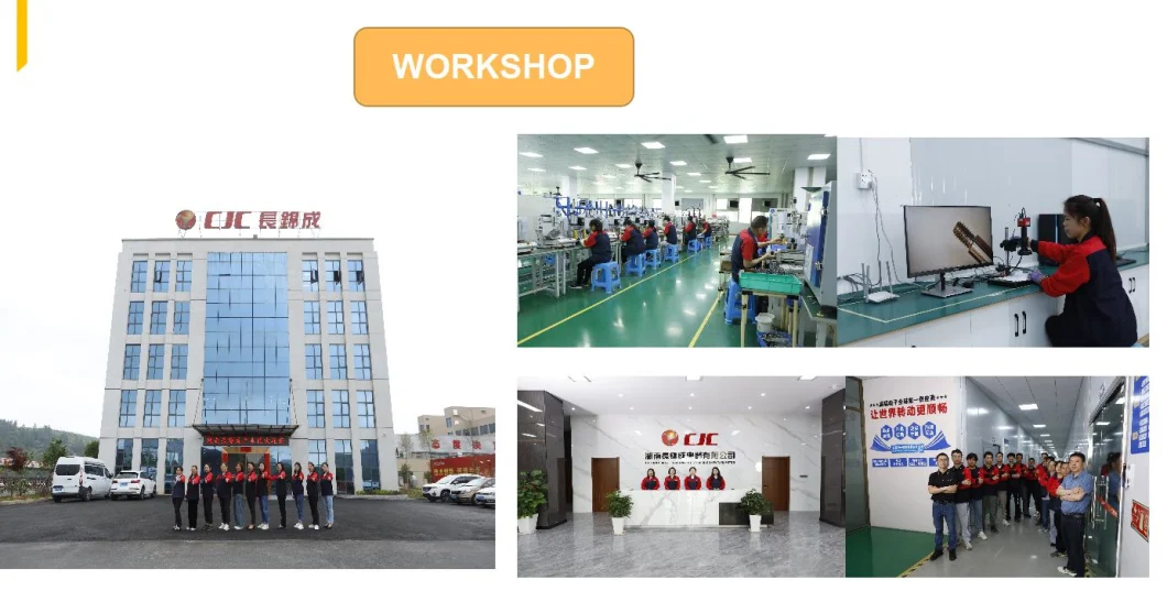 Micro Motor Brushless Motor BLDC Motor Electrical Motor AC Motor Electric Motor DC Motor High Speed Motor High Speed Motor Hair Dryer Motor with Controller