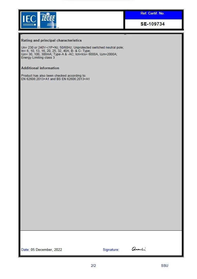 RCD TML1-100 100A 10kA Type Ac 2P Certification Manufacturer Whole sell