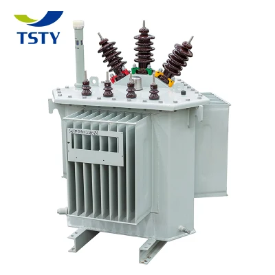 S13 315 kVA 3150 kVA completamente sigillato 10 kv 11 kv alta tensione bassa Distribuzione di tensione esterna fornitore Cina Onan Transformer con servizio personalizzato