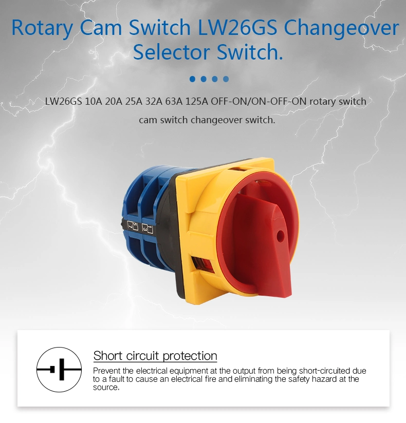 Customized Lw-26GS Series on-off Change Over Rotary Cam Switch