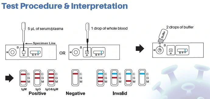 Singclean Igm/Igg Antibody Rapid Test Kit Strip/Device