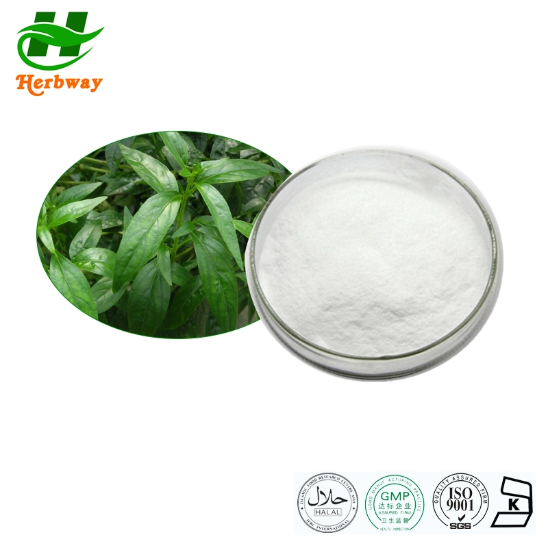 Herbway Free Sample Pharmaceutical Grade Anti-Inflammatory Andrographis Paniculata Extract 98%Andrographolide