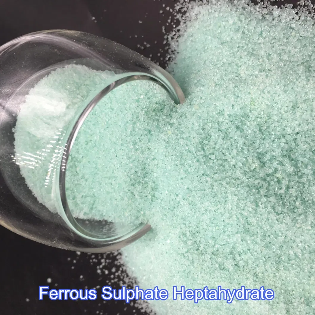 Factory Price Poultry Feed Additives Animals Nutrition Ferrous Sulfate Monohydrate CAS No 13463-43-9
