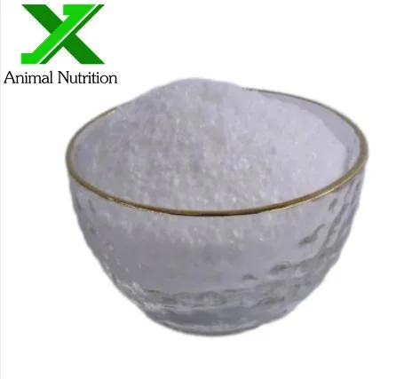 Food Grade Amino Acid Food Additives Nutrition Enhancers Glycine Powder