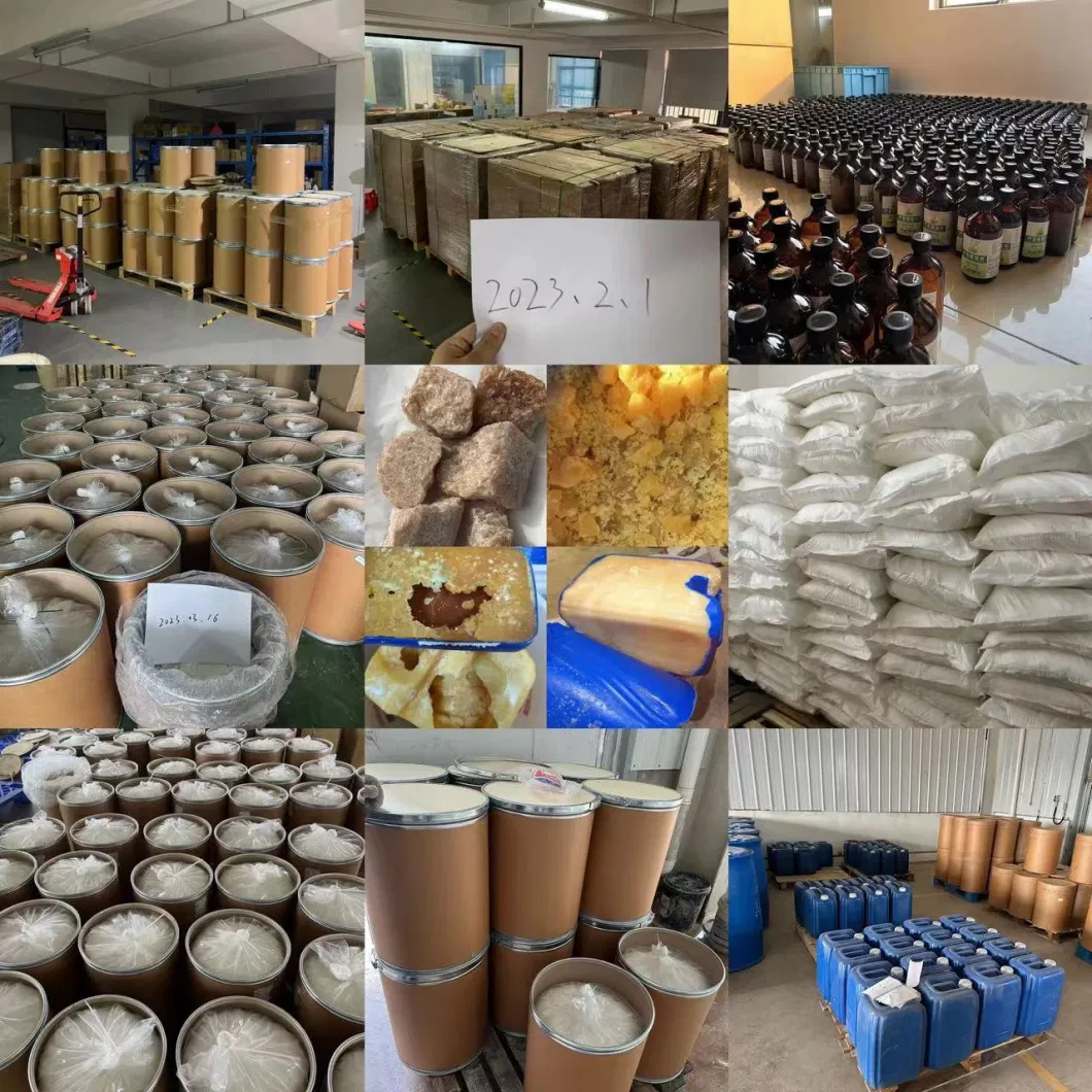 Factory Supply Powder Astragali Root Extract Powder Astragaloside Polysaccharide