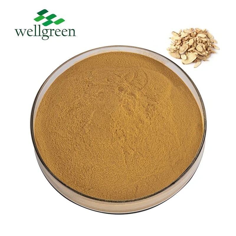 Astragalus Extract IV Ganoderma Lucidum Membranaceus Root Powder 20: 1 Natural 98% Astragaloside