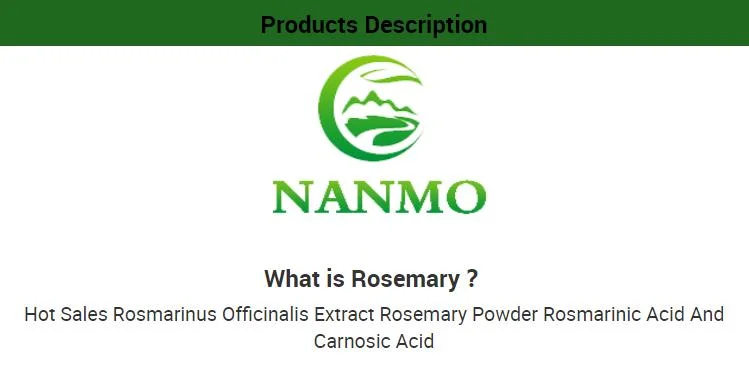 High Quality Rosemary Leaf Extract Carnosic Acid/Rosmarinic Acid/Ursolic Acid
