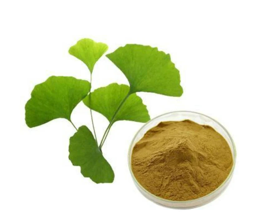 USP-NF2021 (USP44) Ginkgo Biloba Extract 24% 6% Ginkgo Biloba Leaf Extract