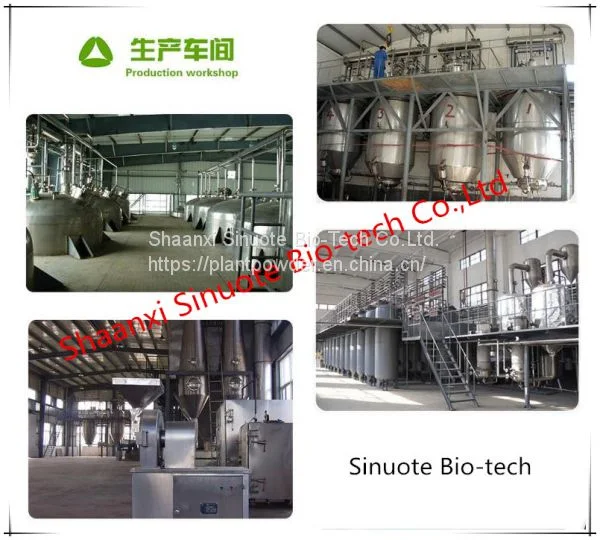 Factory Price 100% Natural Ginkgo Biloba Extract 24/6