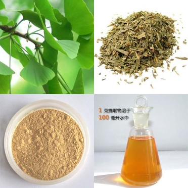 Ginkgo Biloba Leaf Extract Powder for Nutraceutical Plant Herbal Extract