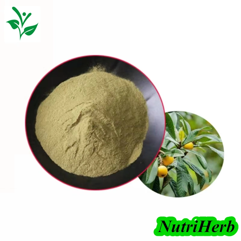 Factory Supply Organic Loquat Leaf Extract Ursolic Acid 50%