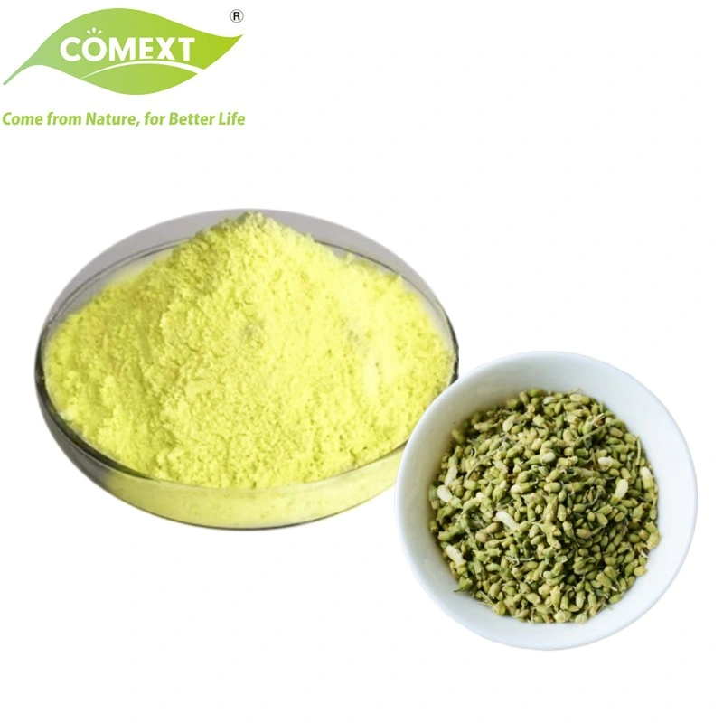 Comext Factory Supply Sophora Japonica Extract Quercetin for Health Supplement