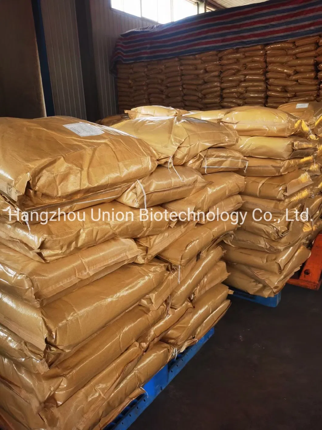 Wholesale Price Food Grade Halal Calcium Gluconate Powder CAS 299-28-5