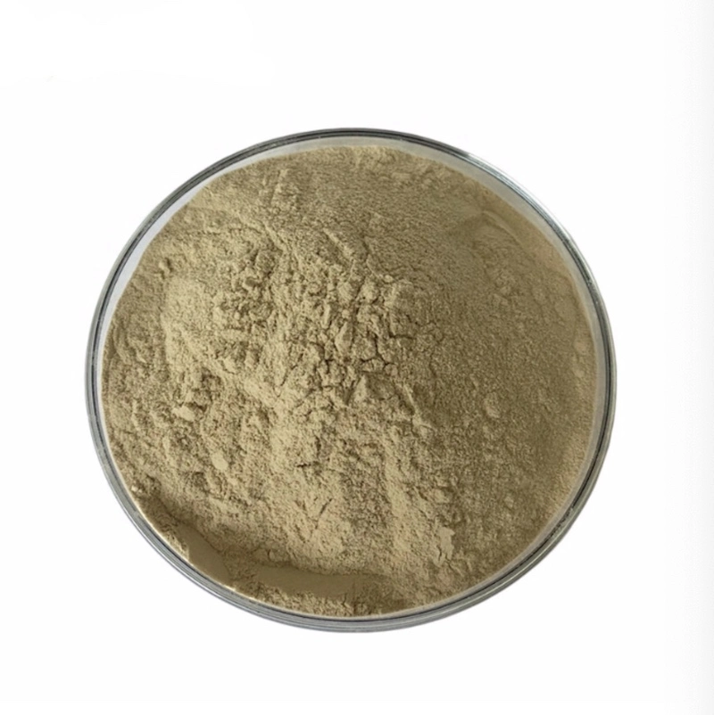 High Quality Rosemary Leaf Extract Carnosic Acid/Rosmarinic Acid/Ursolic Acid