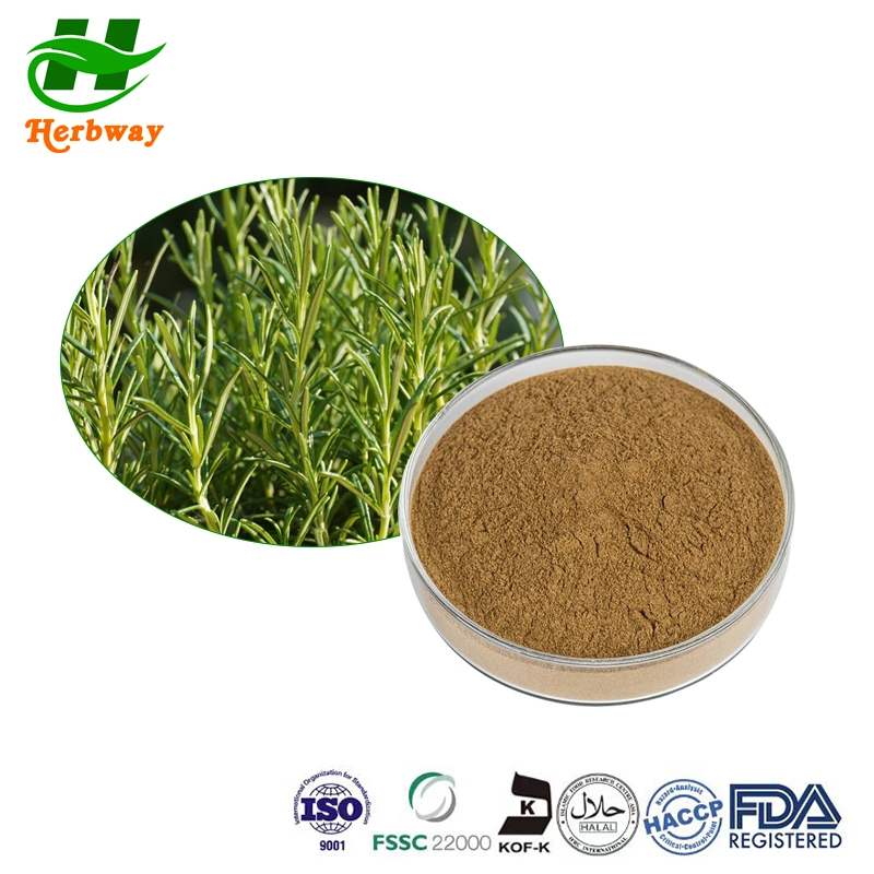 Carnosic Acid 100% Natural Rosemary Leaf Extract Ursolic Acid1%- 98% Rosemary Extract