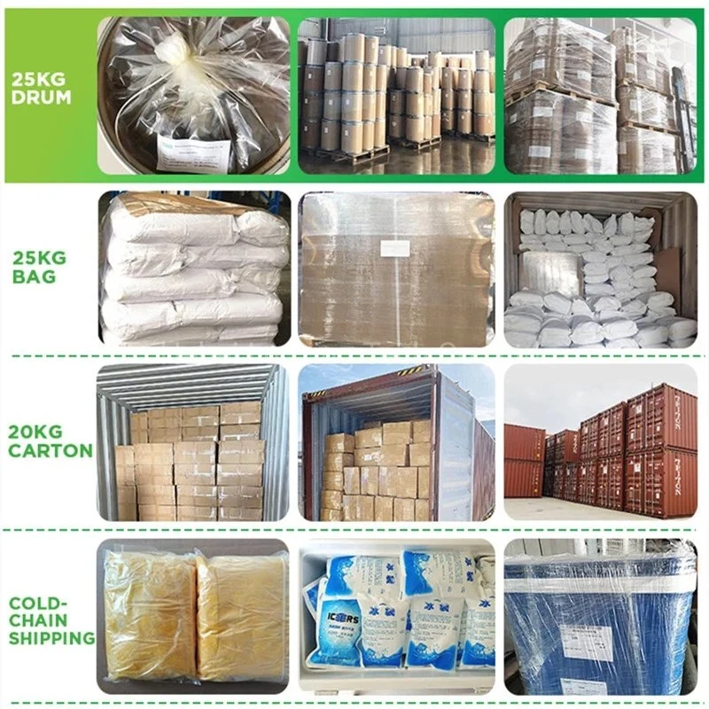 Factory Supply High Quality Plant Extract Powder Ursolic Acid 99% CAS 77-52-1