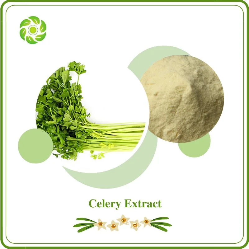 Sophora Japonica Extract Ginkgo Biloba Extract Celery Extract Grape Seed Extract10%-99% Trans-Resveratrol 98% Polydatin Polygonum Cuspidatum Extract