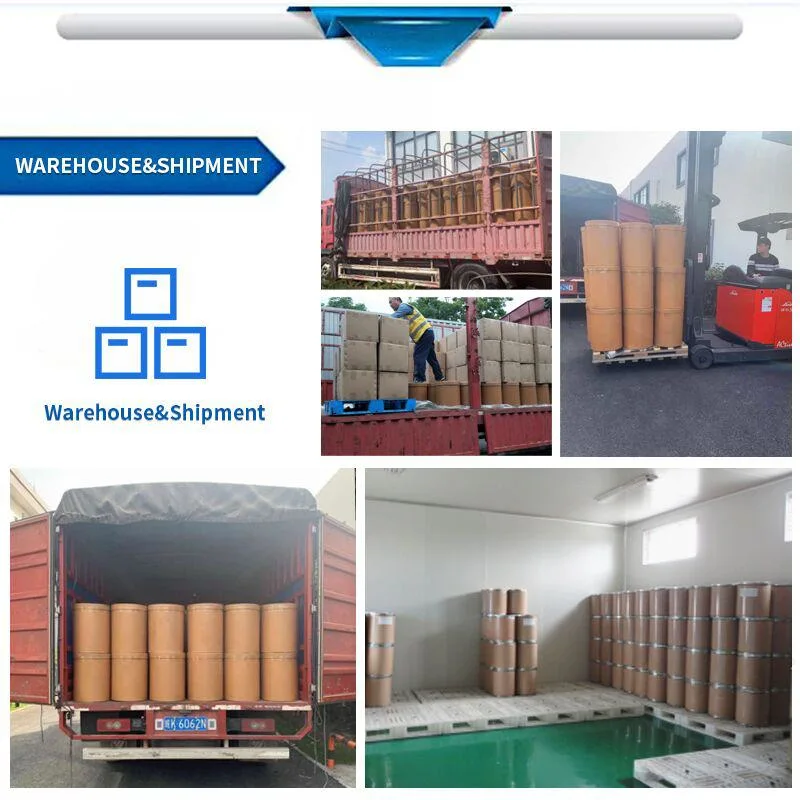Food Additive Food Grade CAS 51115-67-4 Cooling Agent Ws23
