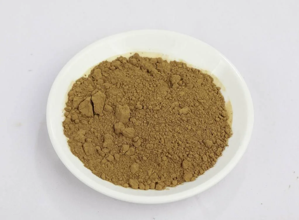 Natural Rosemary Leaf Extract Powder 98% Ursolic Acid