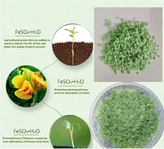 Ferrous Sulfate Heptahydrate for Plant Fertilizer CAS 7782-63-0 Feso4 Heptahydrate