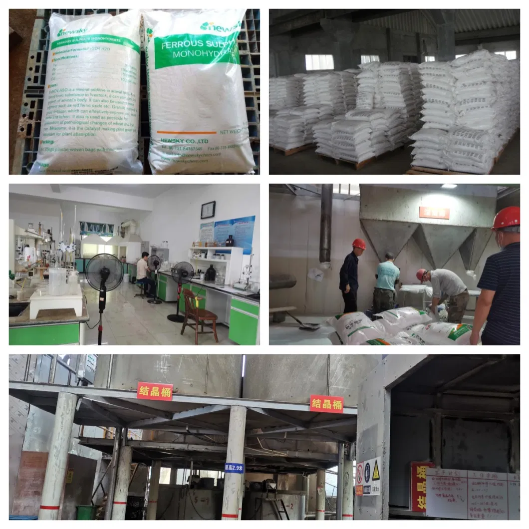 Animal Nutrion Feed Additive Feed Grade FeSO4 Ferrous Sulphate Monohydrate