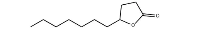 Factory Wholesales Pharmaceutical Colorless Liquid CAS. 104-67-6 &Gamma; -Undecalactone