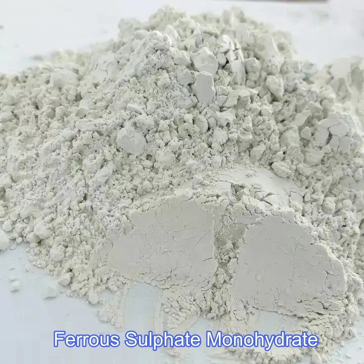 Factory Price Poultry Feed Additives Animals Nutrition Ferrous Sulfate Monohydrate CAS No 13463-43-9