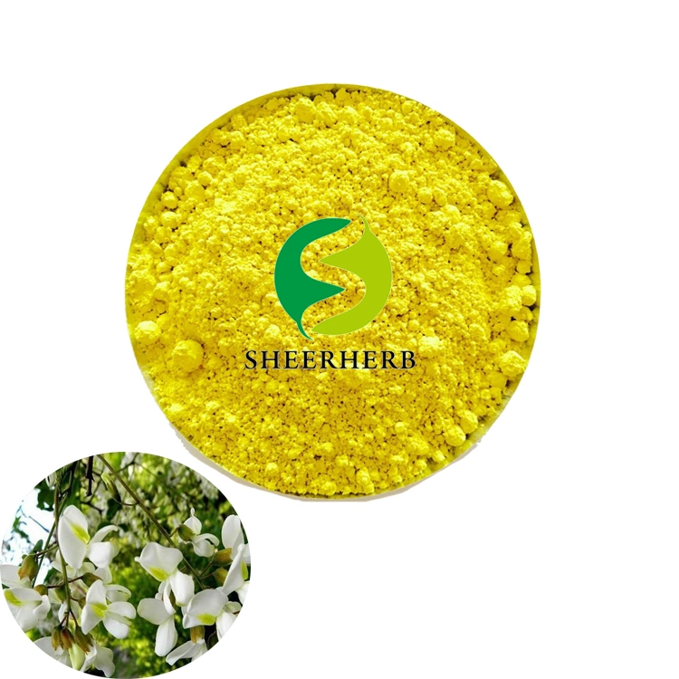 Wholesale Price Hot Selling High Quality Natural Rainbow Sophora Flower Extract Quercetin 95%/98%