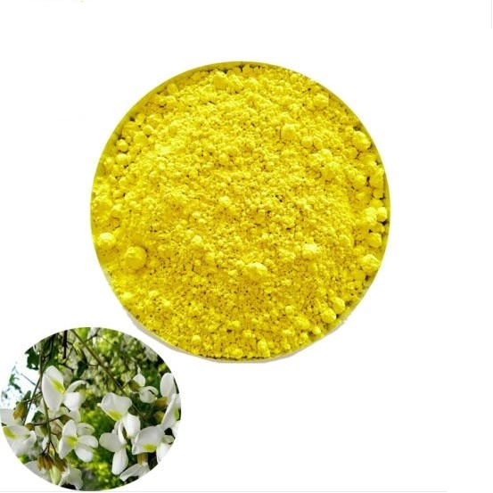 Sophora Japonica Extract Powder 95% 98% Quercetin CAS 117-39-5