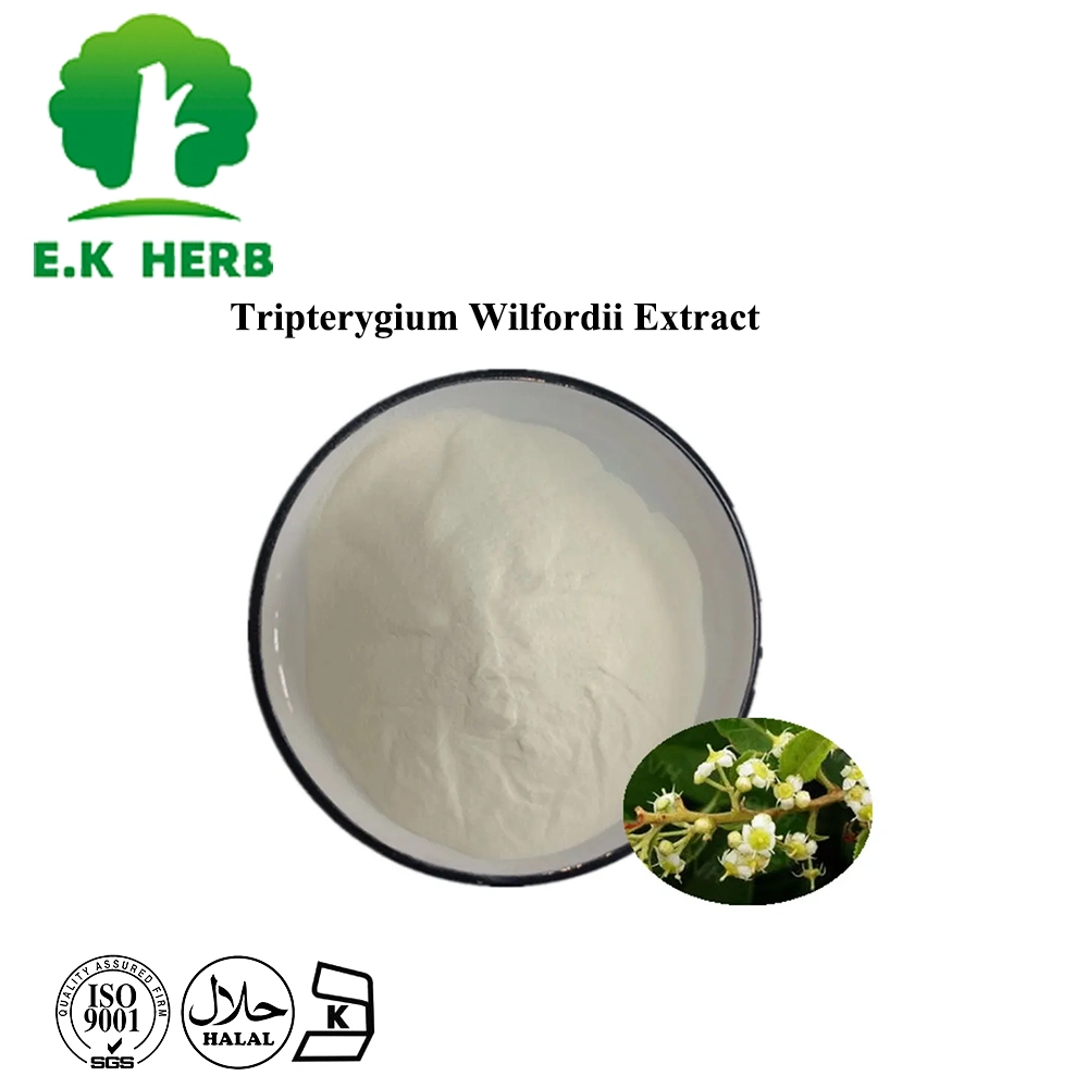 E. K Herb 100% Natural Tripterygium Wilfordii Extract Triptolide 98% Powder Thunder God Vine Extract