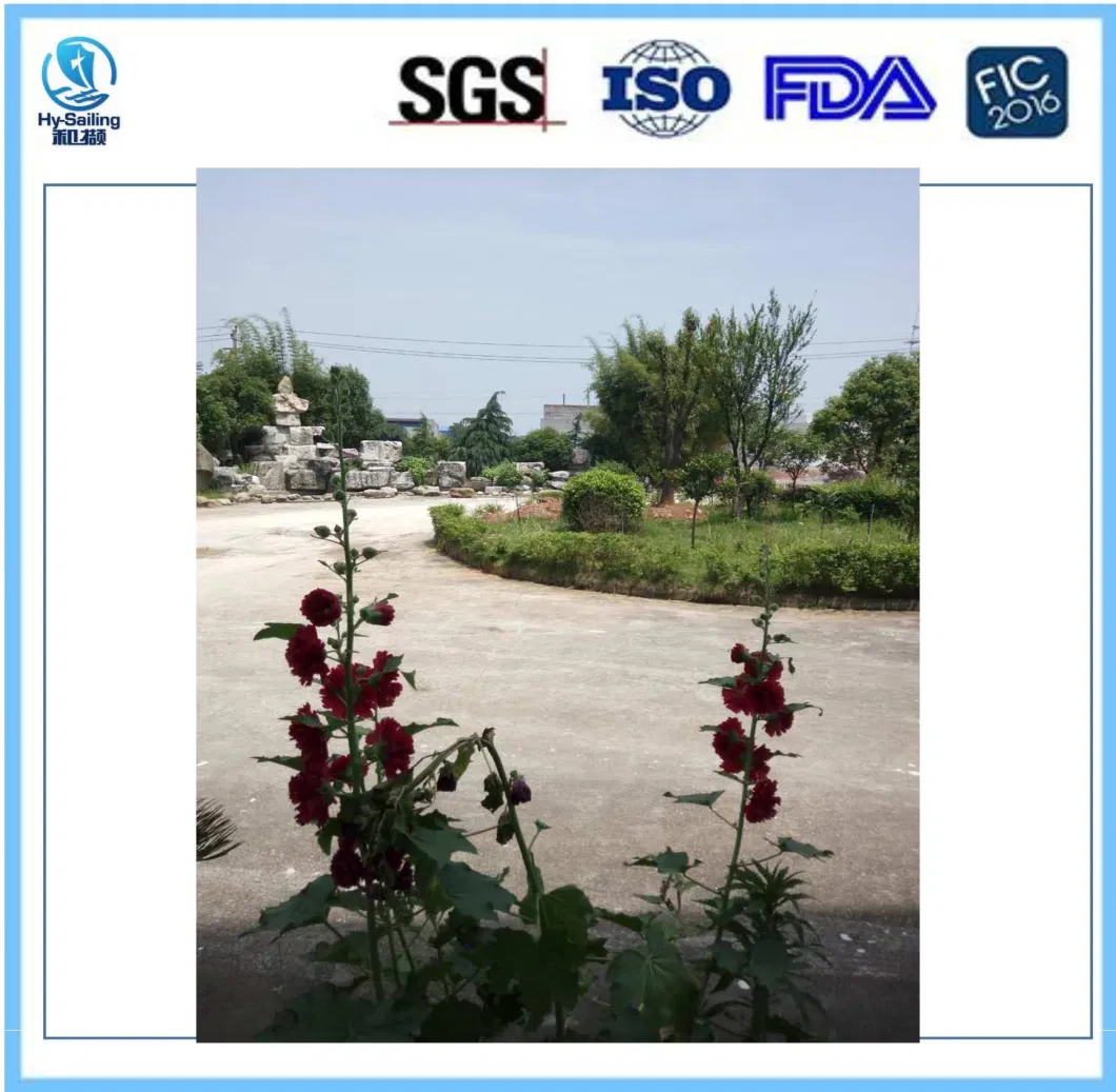 Calcium Stearate Price for Plastic