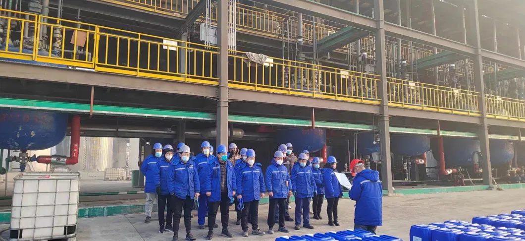 Sodium Pyrophosphate Factory Supply Quality Assurance Lowest Price