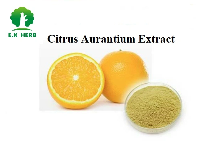 E. K Herb Leading Factory 100% Natural Food Grade CAS 520-26-3 Hesperidin Powder 50%-98% Junos Fruit Extract Bitter Orange Extract Citrus Aurantium Extract