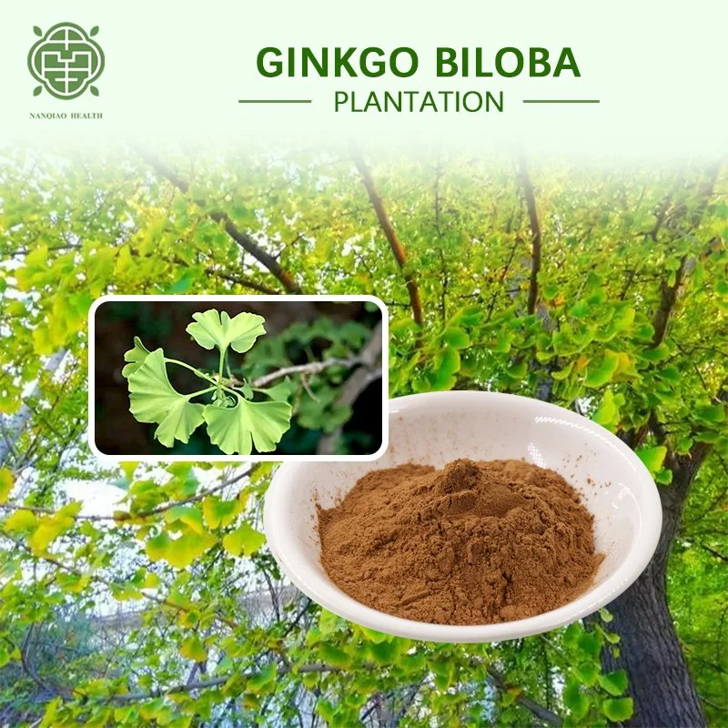 Nanqiao Factory Direct Sale High Quality 99% Purity Plant Extract Ginkgo Biloba Extract CAS 90045-36-6