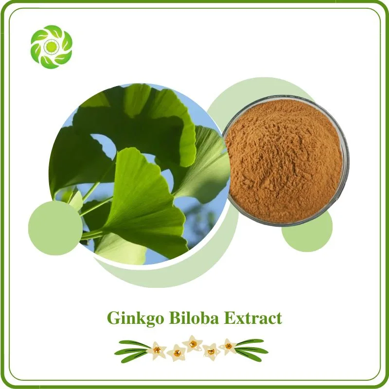 Boost Immunity 100% Natural Herb Plant Extract 24% Ginkgo Flavonoides 6% Ginkgolide 42-50: 1 Cosmetic Grade /Health Food/Pharmaceutical Ginkgo Biloba Extract