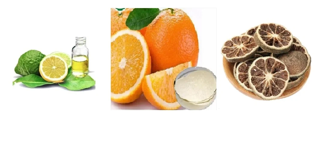 E. K Herb Leading Factory 100% Natural Food Grade CAS 520-26-3 Hesperidin Powder 50%-98% Junos Fruit Extract Bitter Orange Extract Citrus Aurantium Extract