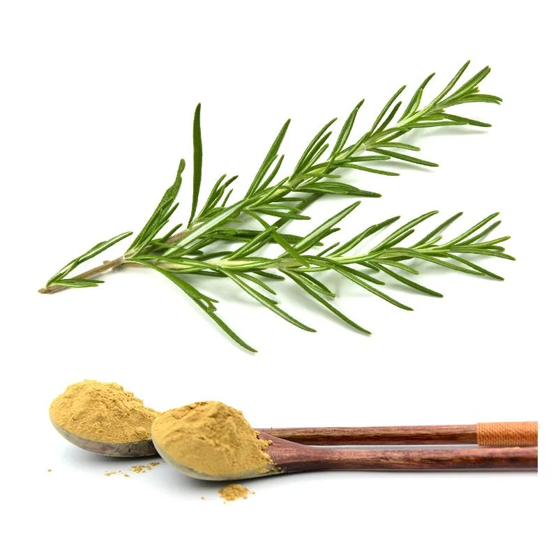 100% Pure Price Rosemary Extract Powder Carnosic Acid