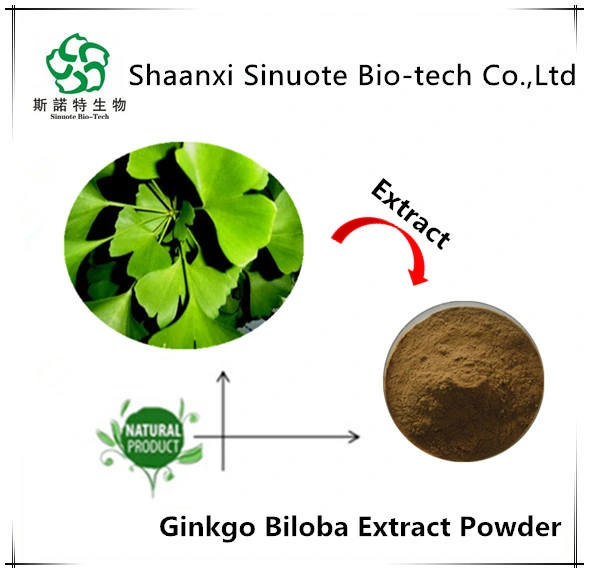 Factory Price 100% Natural Ginkgo Biloba Extract 24/6