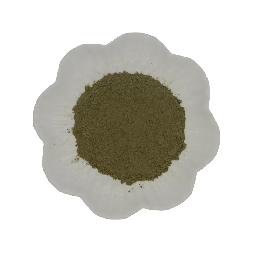 EU Organic Andrographis Paniculata Leaf Extract Andrographolide 98%